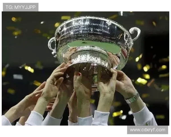 南京网球队在联合会杯中的意识表现分析与点评