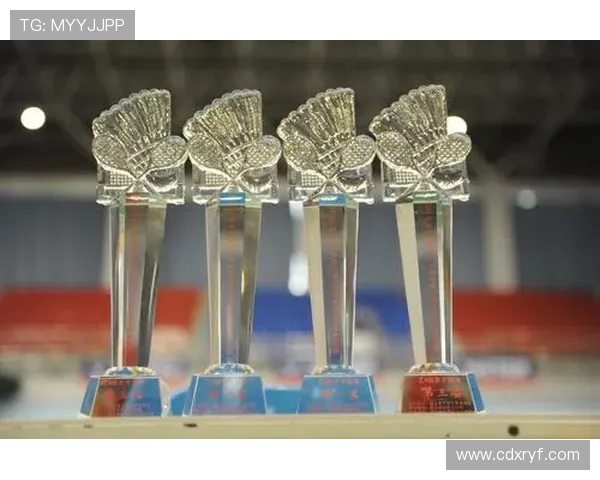 南京羽毛球队的节奏解析与发展趋势探讨