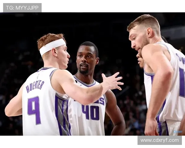 国王队与老鹰队对决数据深度分析与战术解读