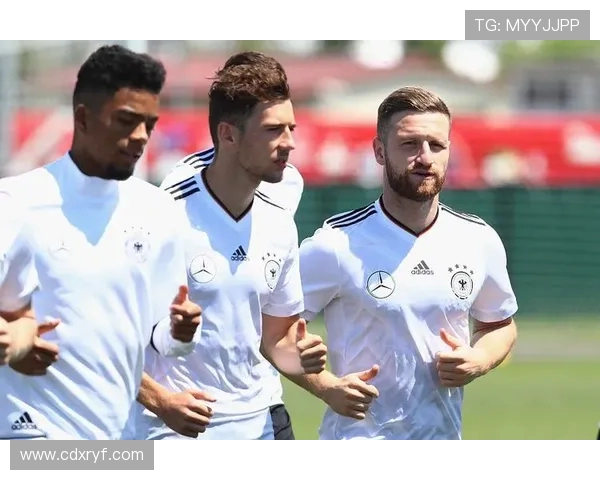 德国与墨西哥足球对决分析及投注技巧探讨