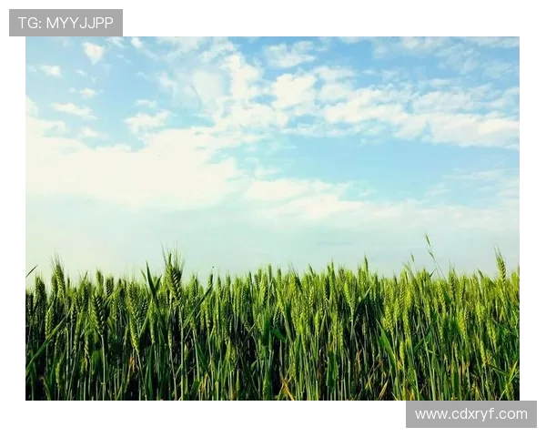 萨林杰的文学世界与心灵探索:从麦田里的守望者看现代青年的孤独与反叛 萨林杰的文学世界与心灵探索:从麦田里的守望者看现代青年的孤独与反叛