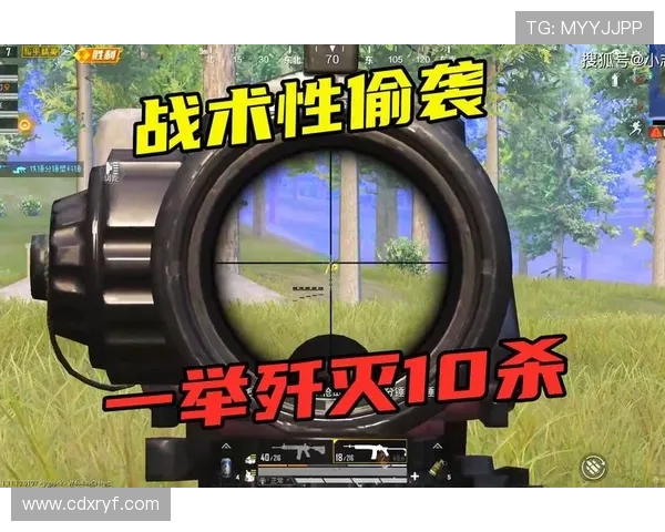 和平精英战术解析：深入了解WE战队的默契配合与战斗策略