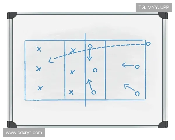 成都排球队战术解析：从基础训练到比赛策略的全面探讨