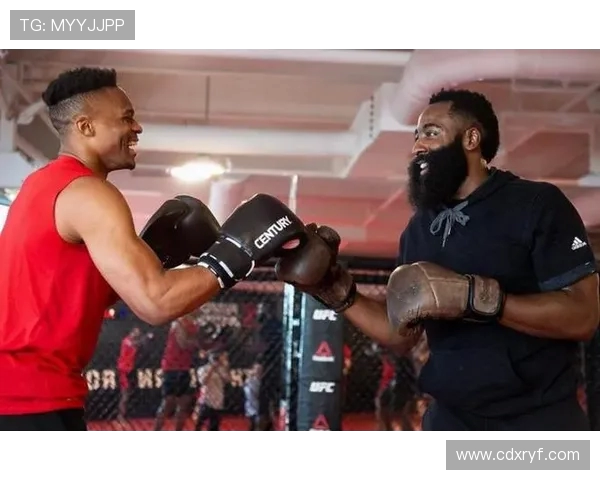 成都篮球队意识表现分析与大满贯点评的深度解读