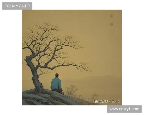 攀岩与人生的交响曲：周磊的深度对话与心路历程